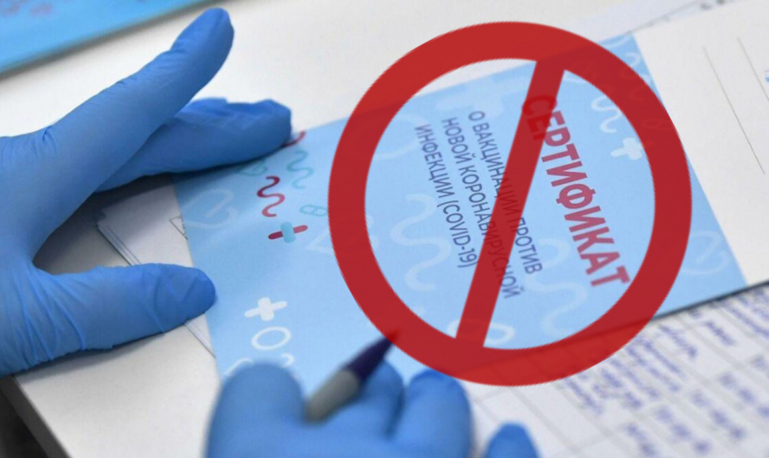 И не отличишь: фейковые сертификаты о вакцинации «разлетаются» в Новороссийске 