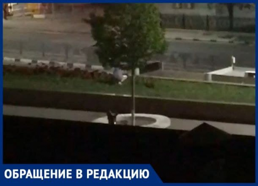 «Пусть человеку стыдно станет!» - жительница Новороссийска потопталась по клумбам