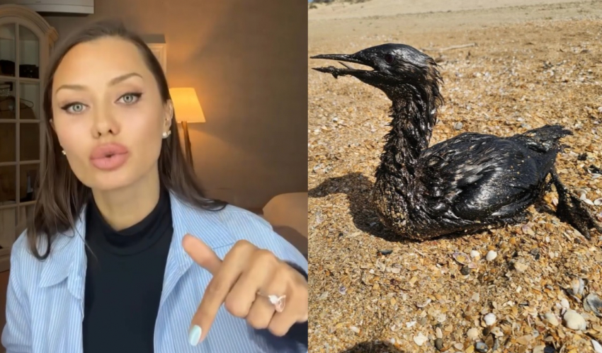 "Владимир Владимирович, Вам врут, там - мазут": Виктория Боня рассказала про Анапу президенту России