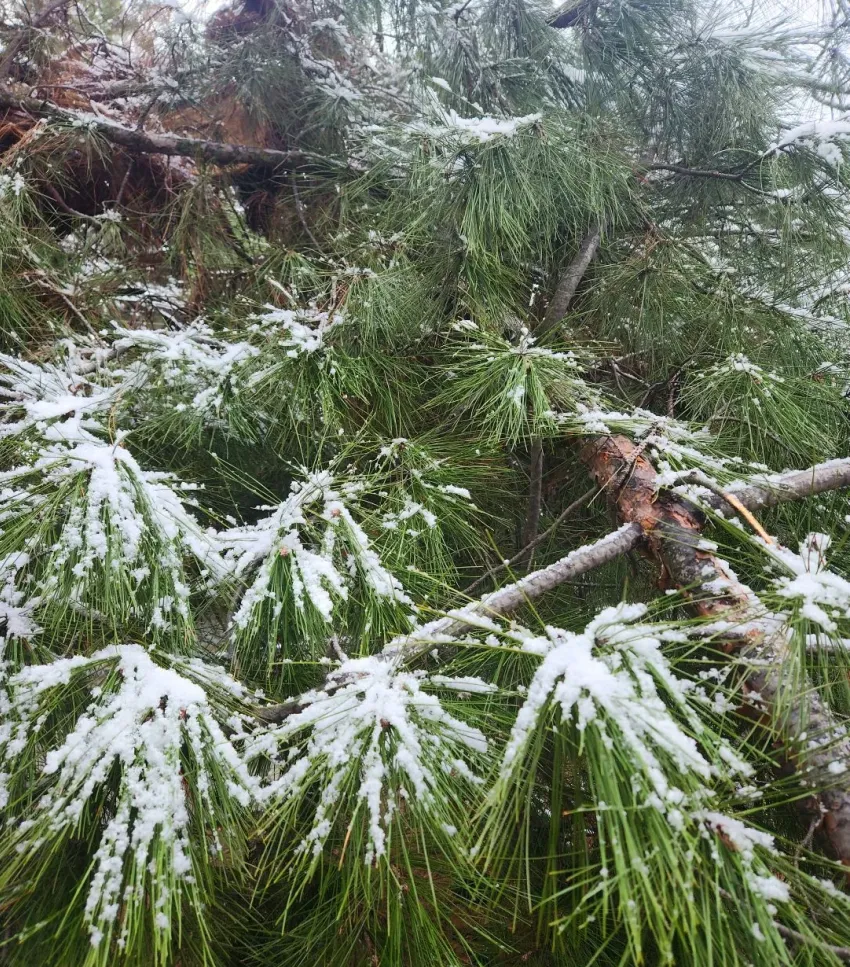 Уже солнечно, но еще морозно: как одеться по погоде во вторник