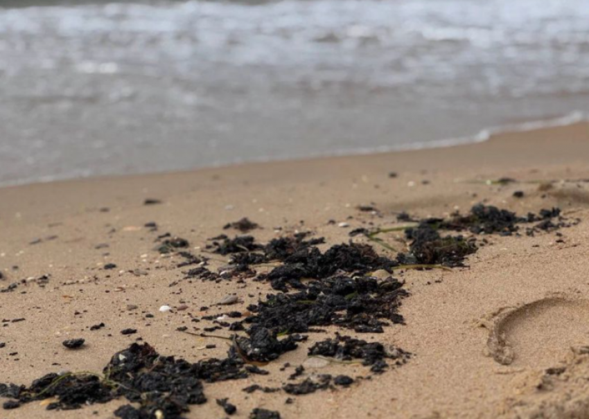 Мазут снова выбросило на берега Анапы: к Черному морю прибыла большая колонна спецтехники от МЧС