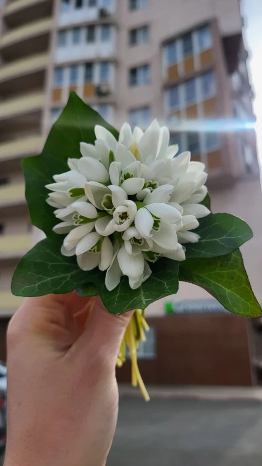 Скучно не будет: куда сходить на 8 марта в Новороссийске