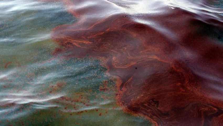 КТК намеривается обжаловать в суде сумму ущерба от разлива нефти под Новороссийском