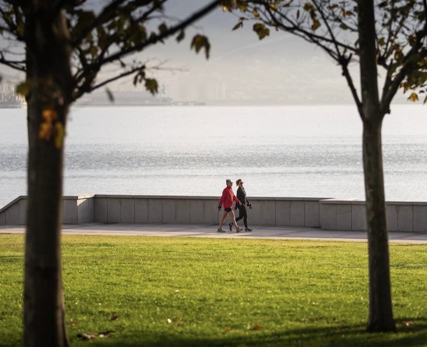 Погода в Новороссийске: ещё один весенний день в ноябре 