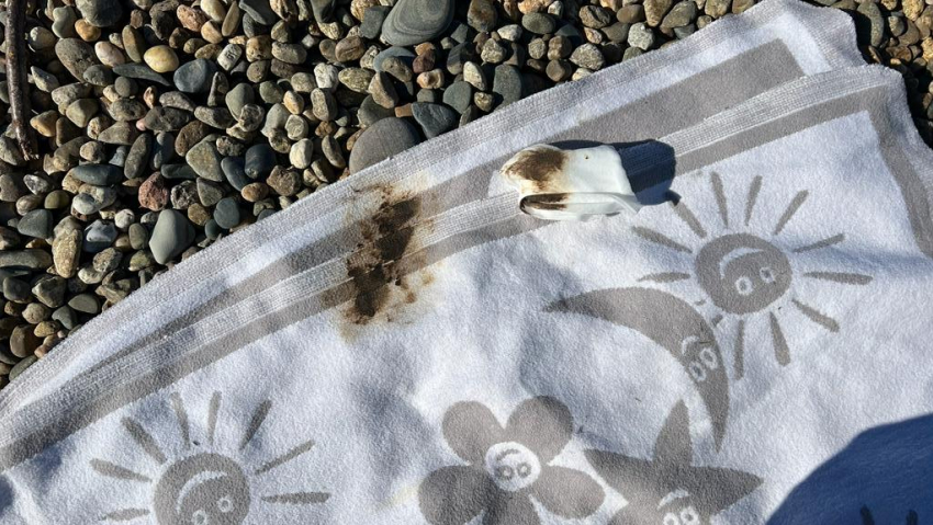 Пляж в Новороссийске покрыт нефтепродуктами – мазут пачкает детей и взрослых 