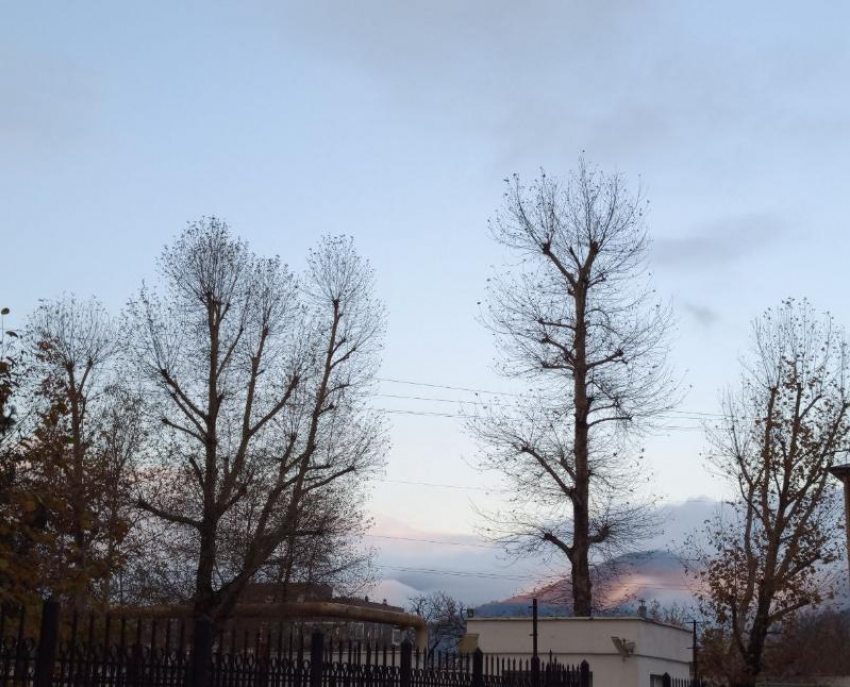 Погода в Новороссийске: усилился северный ветер и похолодало