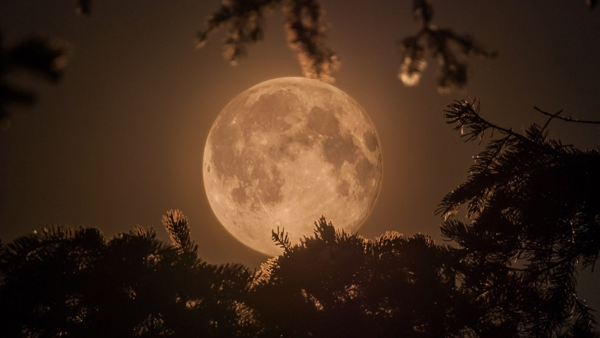 Фазы луны: влияют ли они на состояние новороссийцев