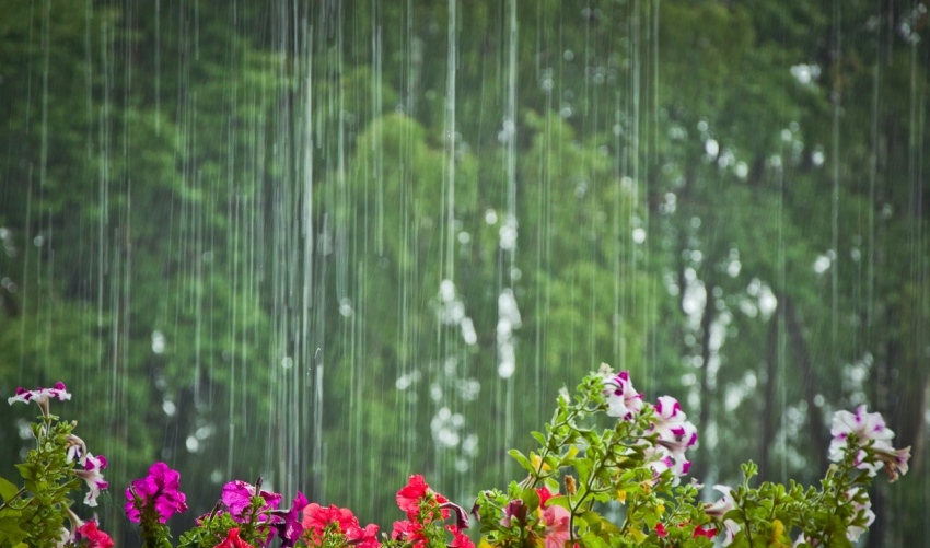 Сегодня новороссийцам понадобятся зонты: обещают ливень 