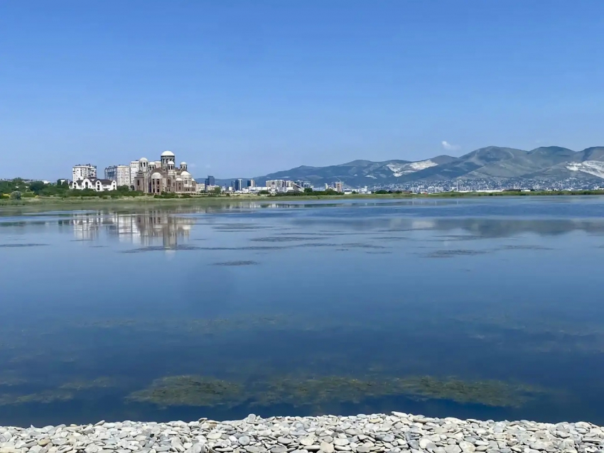 Ученый обнаружил в Суджукской лагуне исчезнувший вид водорослей 