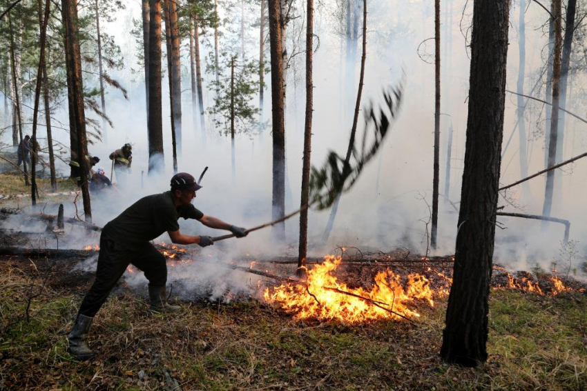 Новороссийцы жгут: в городе-герое продолжают наказывать нарушителей противопожарного режима