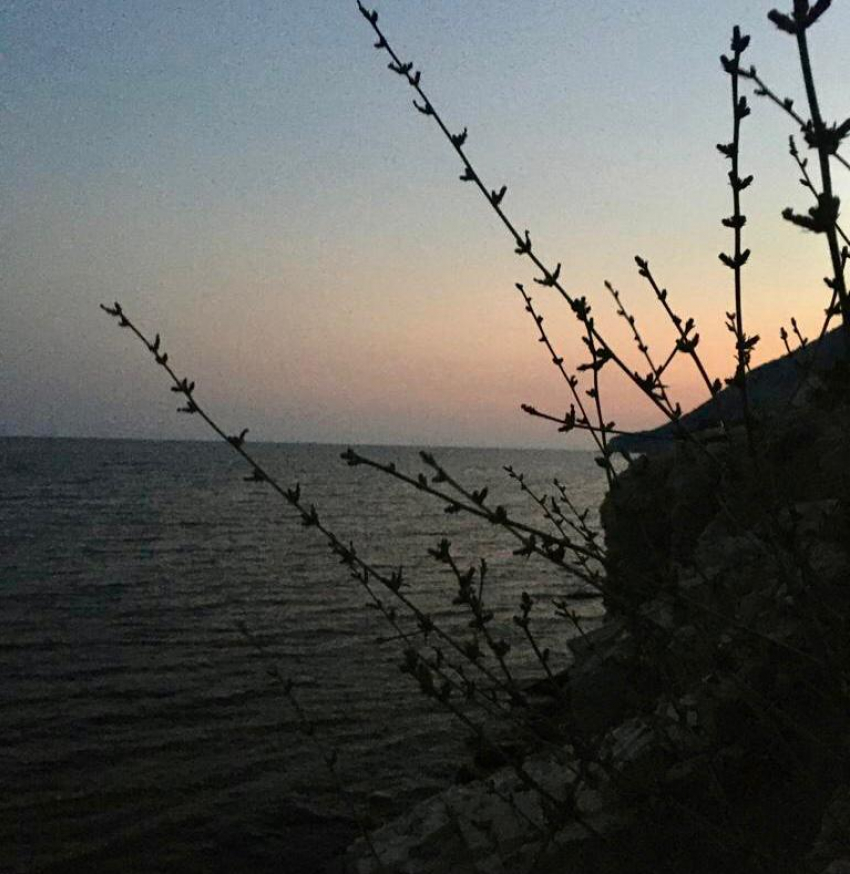 Ветрено и ясно будет в Новороссийске в пятницу 