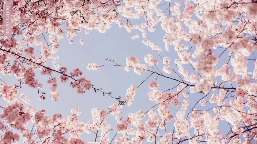 Никаких сокращений: стал известен режим работы в преддверии 8 Марта