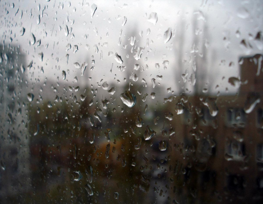 Лучшее время для просмотра фильмов: весь день в Новороссийске будет лить дождь