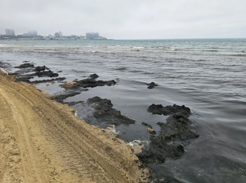 Вонючие водоросли в Анапе так и не убрали