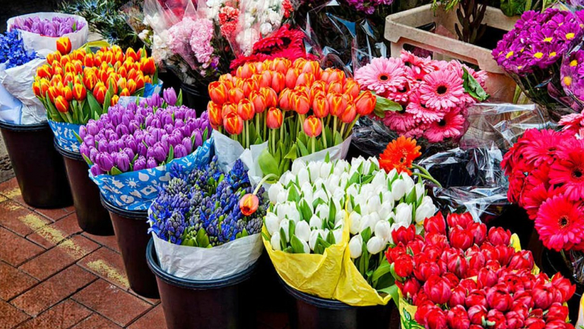 Праздник цветов: куда пойти за букетом в Новороссийске к 8 марта