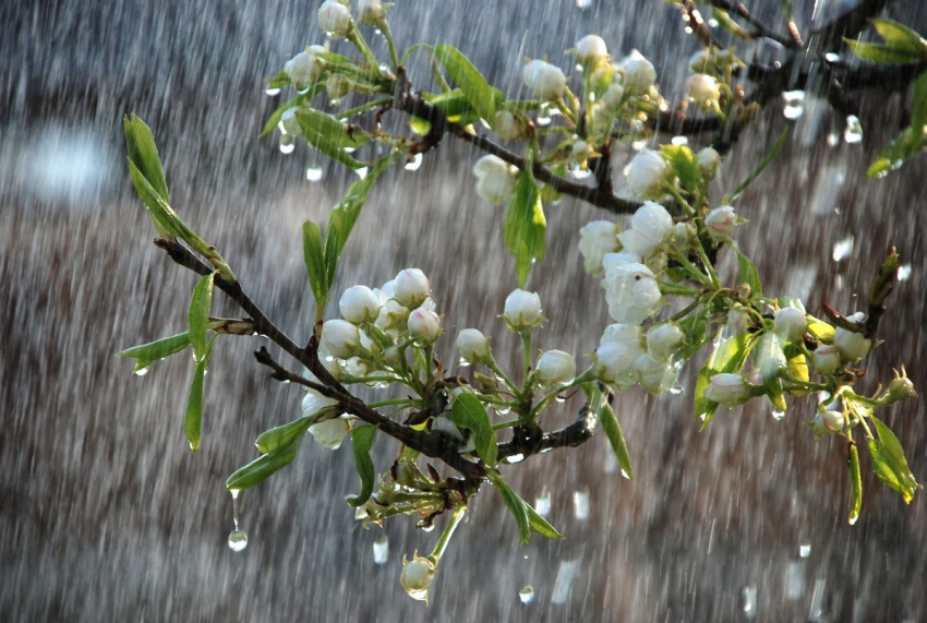 Новая неделя начнётся в Новороссийске с похолодания и дождя