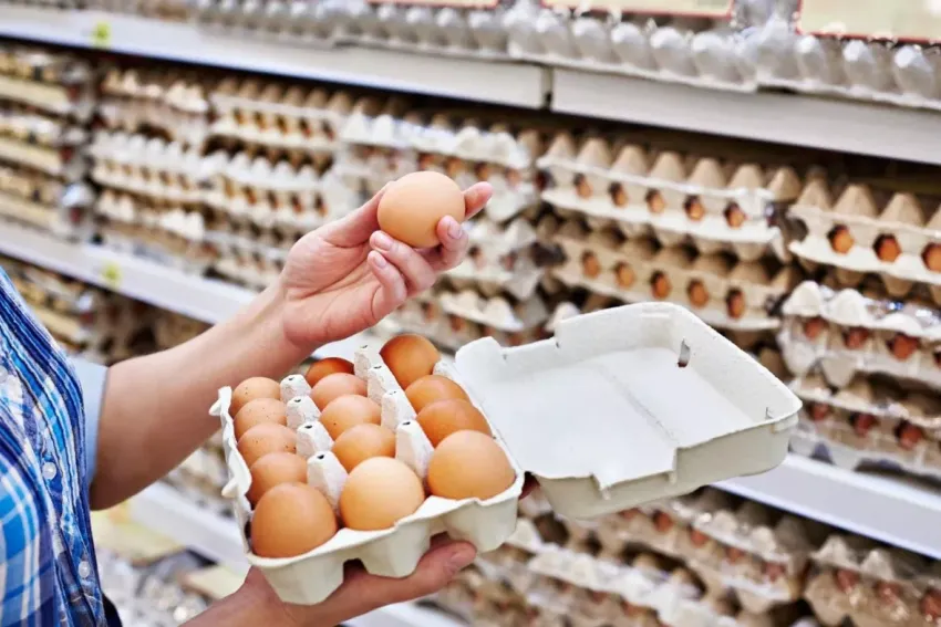 В Краснодарском крае снизились цены на яйца: как дела в Новороссийске