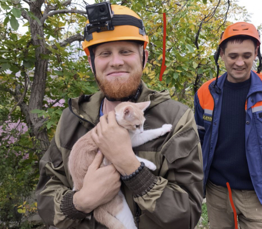 До смерти испуганного кота выручили спасатели в Новороссийске