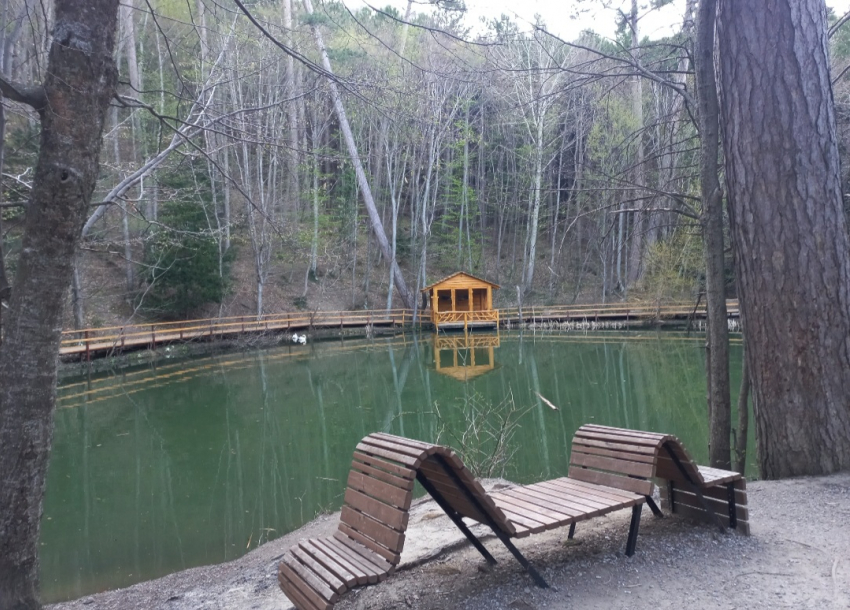 Открыть проран и сделать домики для лебедей: новороссийцы хотят красивую лагуну 