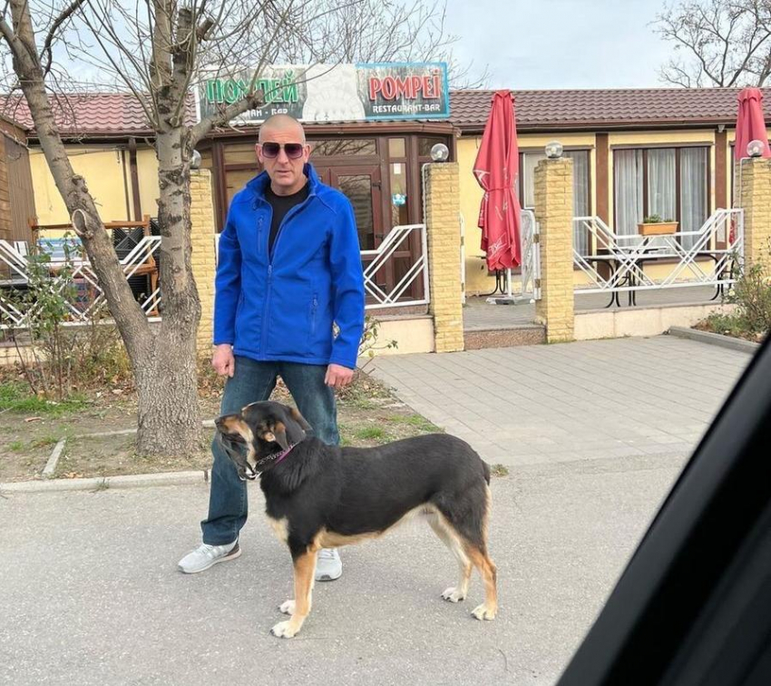 "Собака лежала на спине, он избивал ее кулаками": вопиющий случай произошел в Новороссийске 
