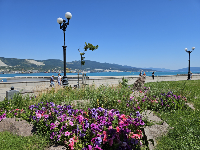 Погода в Новороссийске: жара потихоньку спадает 