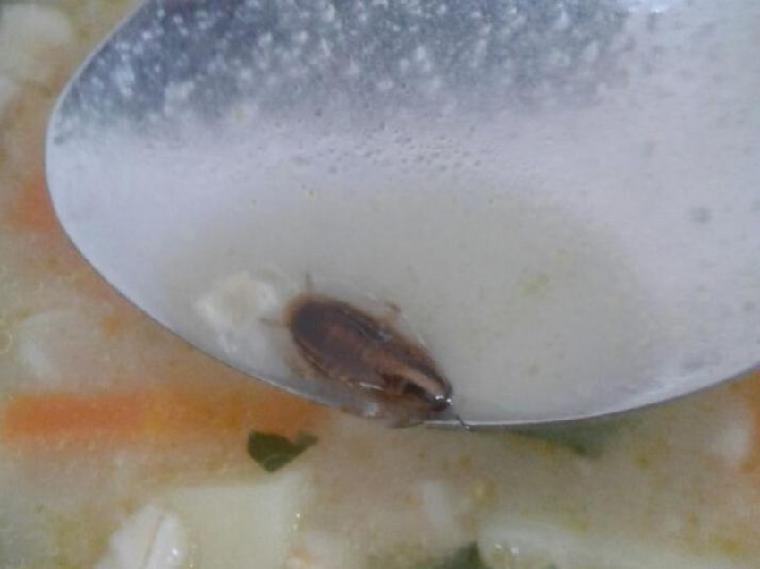 Суп с тараканом подали в инфекционной больнице Новороссийска