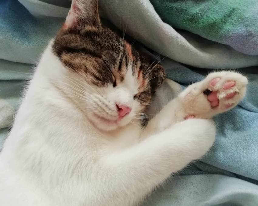 Мими снова смогла поверить человеку