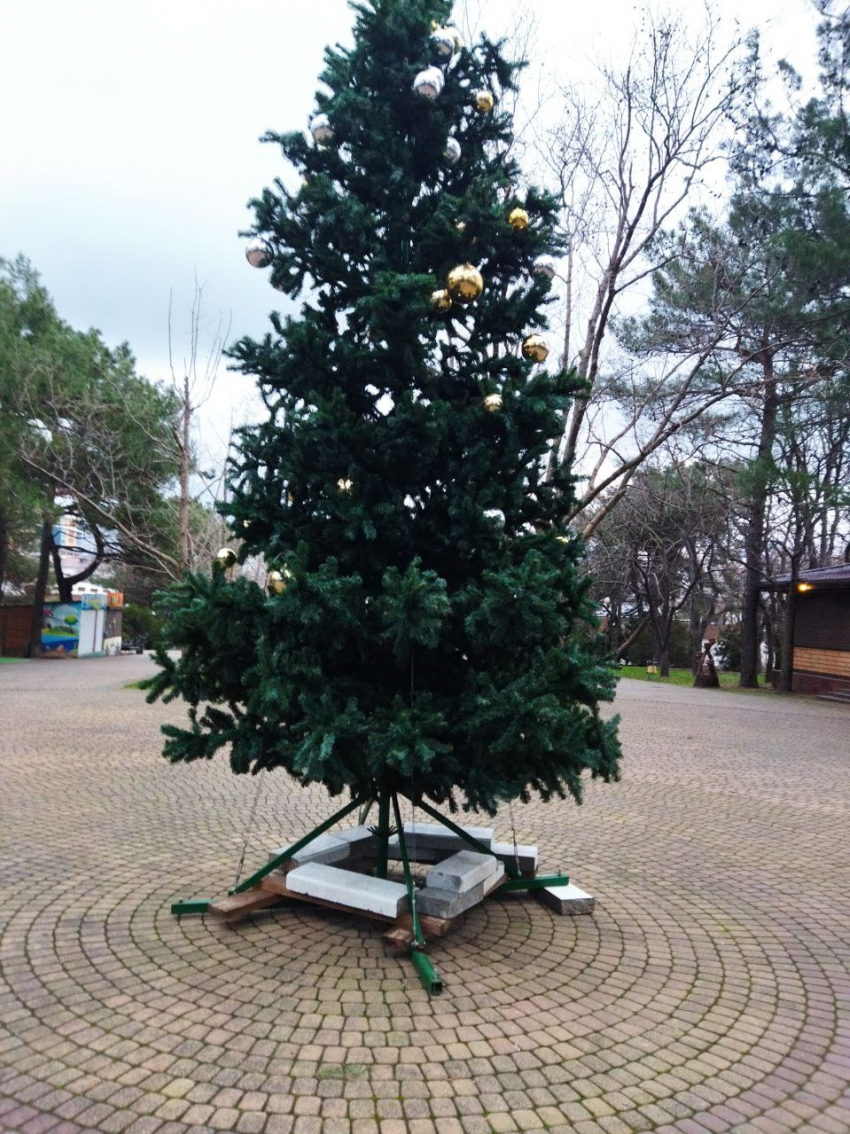 «Позор»: новороссийцы о елке в Ленинском парке 