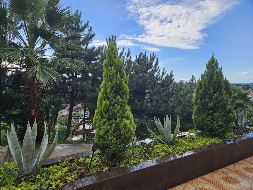 Погода в Новороссийске: переменная облачность и лёгкий ветерок