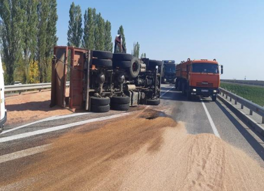 Новороссийские большегрузы перевезли наибольшее количество зерна