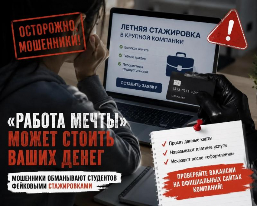 "Работа мечты» оказалась ловушкой: новая схема обмана студентов
