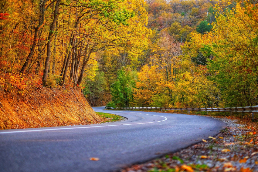В воскресенье новороссийцы смогут вдоволь нагуляться 