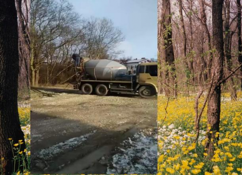 Бетономешалки сливают всю грязь в Цемесскую рощу Новороссийска