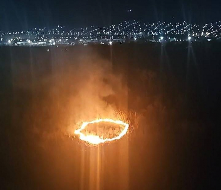 200 квадратных метров огня: в Новороссийске горела Цемесская роща 