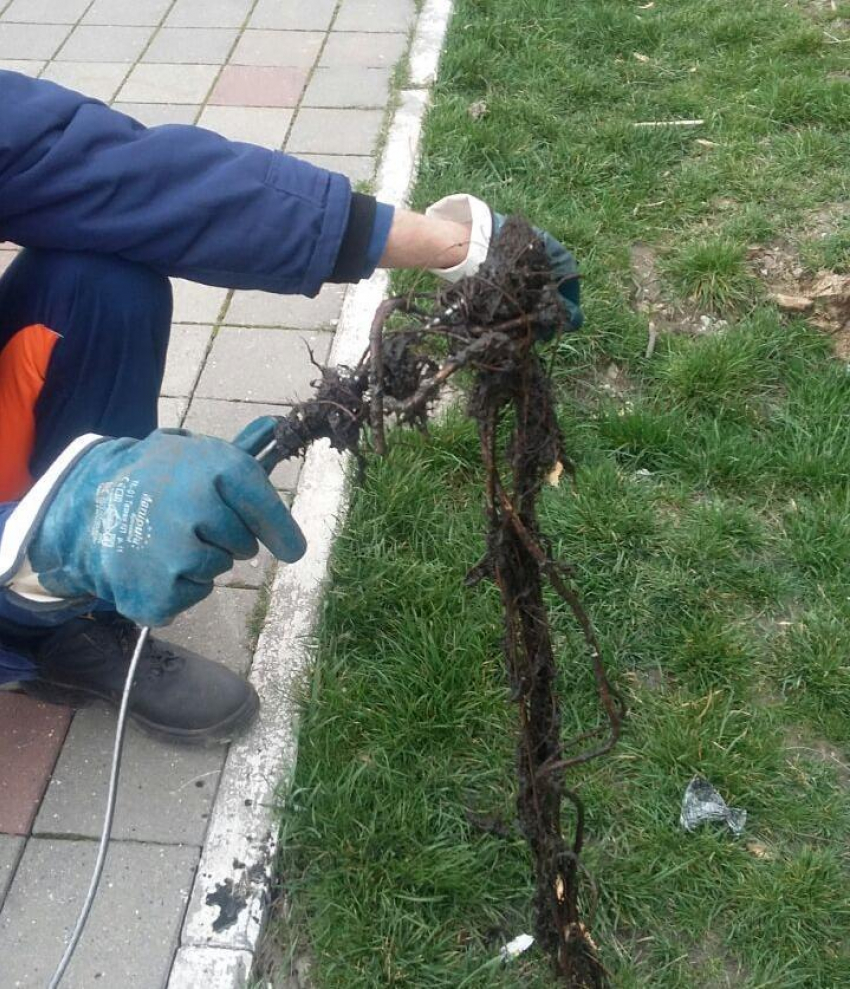 Количество засоров канализации в Новороссийске непрерывно растет