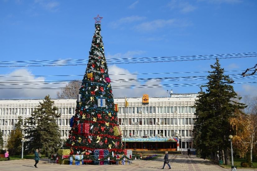 Новороссийская прокуратура запретила покупать новогоднюю ель за 6,7 млн рублей 