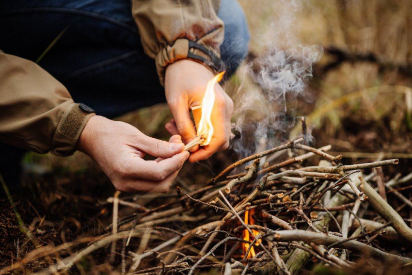 Чтобы не было пожаров: с 1 января для новороссийцев действуют новые правила поведения в лесу