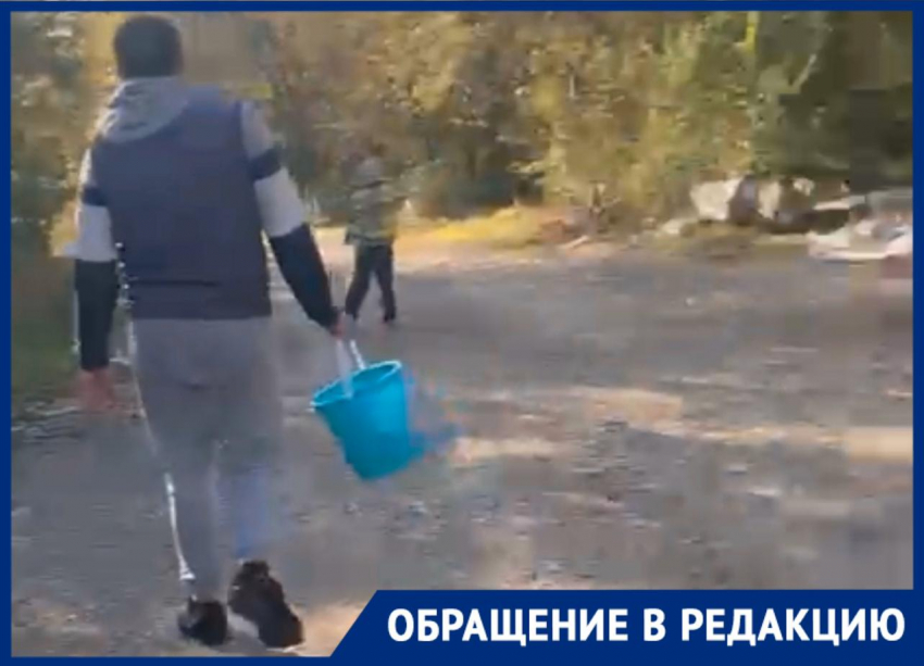 Не хватало только трупа: жительница Новороссийска приехала за грибами в жуткий лес