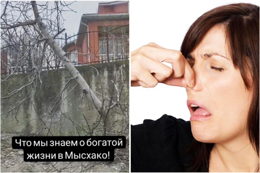 "Сливают свои милые какашки..": жительница Новороссийска раскрыла секрет богатой жизни в Мысхако 