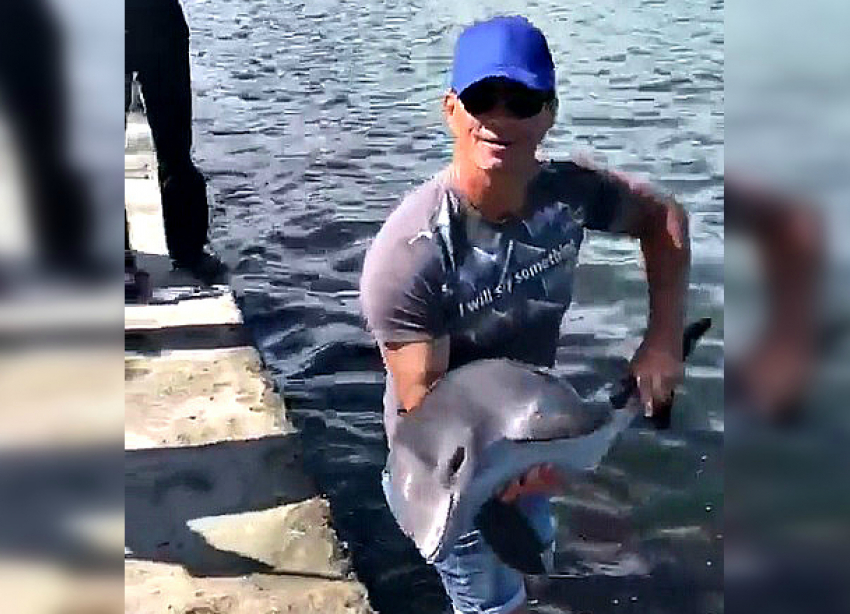 "Рыбаки» выловили дельфинёнка в Новороссийске варварским методом