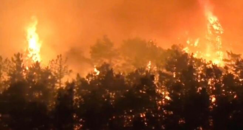 Стали известны подробности страшного пожара в горах Новороссийска