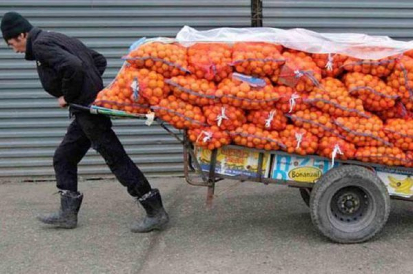 Задержан приезжий, укравший мандарины на шесть миллионов рублей в Новороссийске