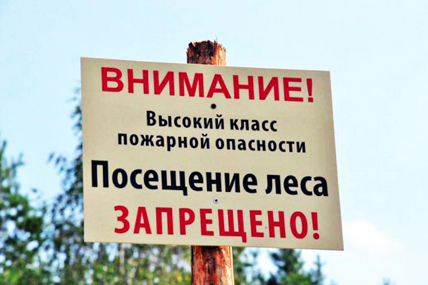 Новороссийцам все еще нельзя в лес и можно будет нескоро