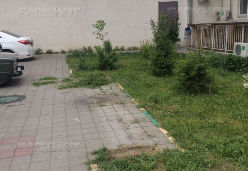 Новороссийского ветерана без места отдыха оставили соседи