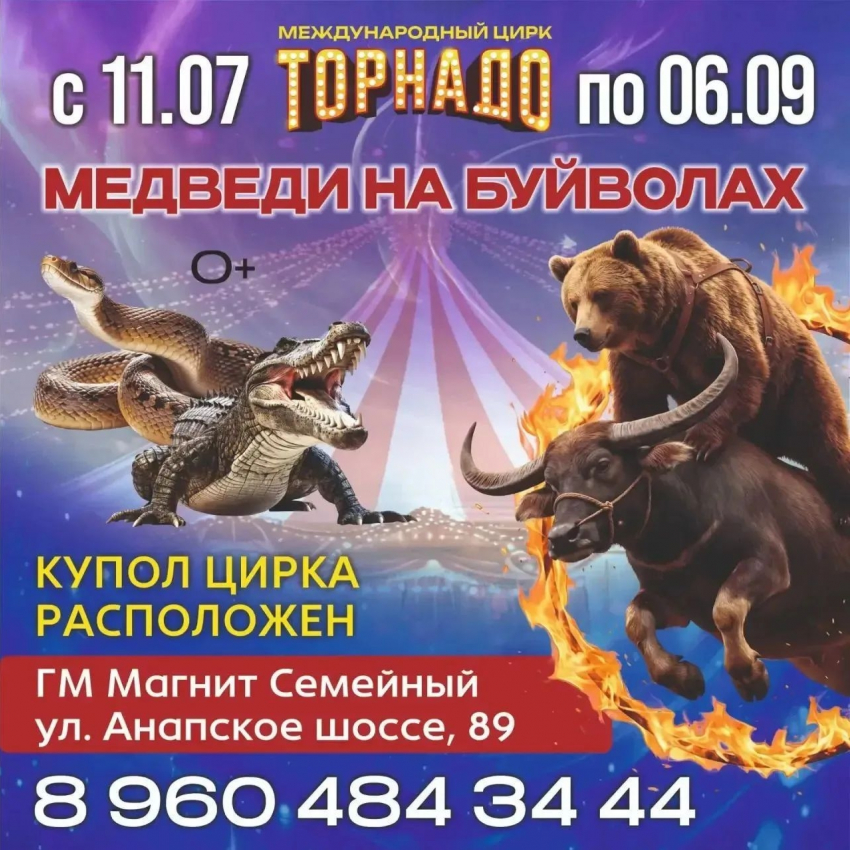 Фееричное шоу «МЕДВЕДИ НА БУЙВОЛАХ» в Новороссийске!