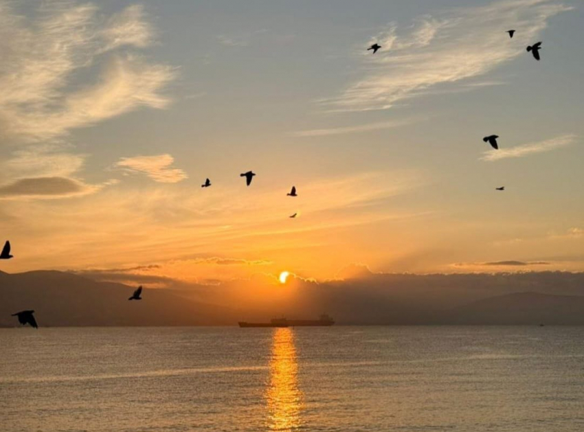 Погода в Новороссийске: какой же тёплый ноябрь у Чёрного моря 