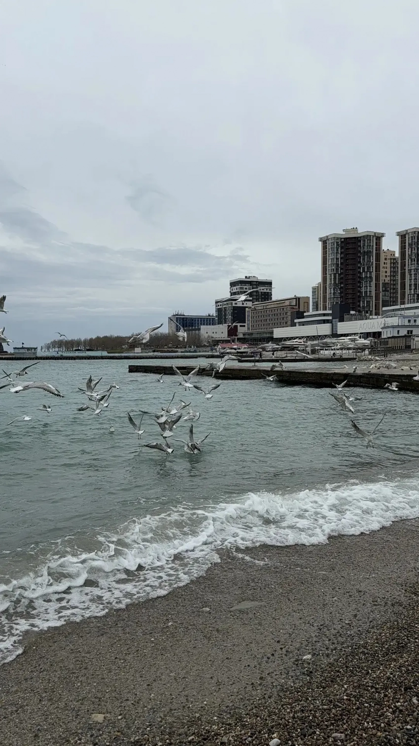 Плотный туман и дожди: насколько в Новороссийске задержится пасмурная погода