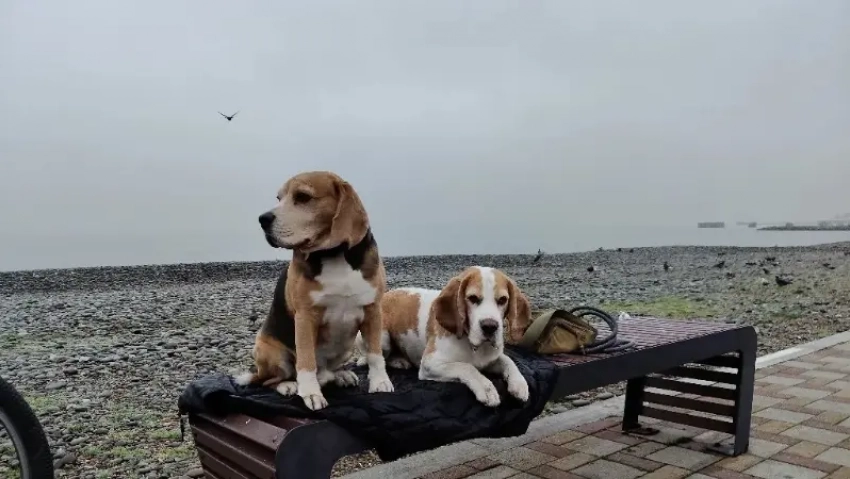 Увидели солнце? Хватит – опять дождливо