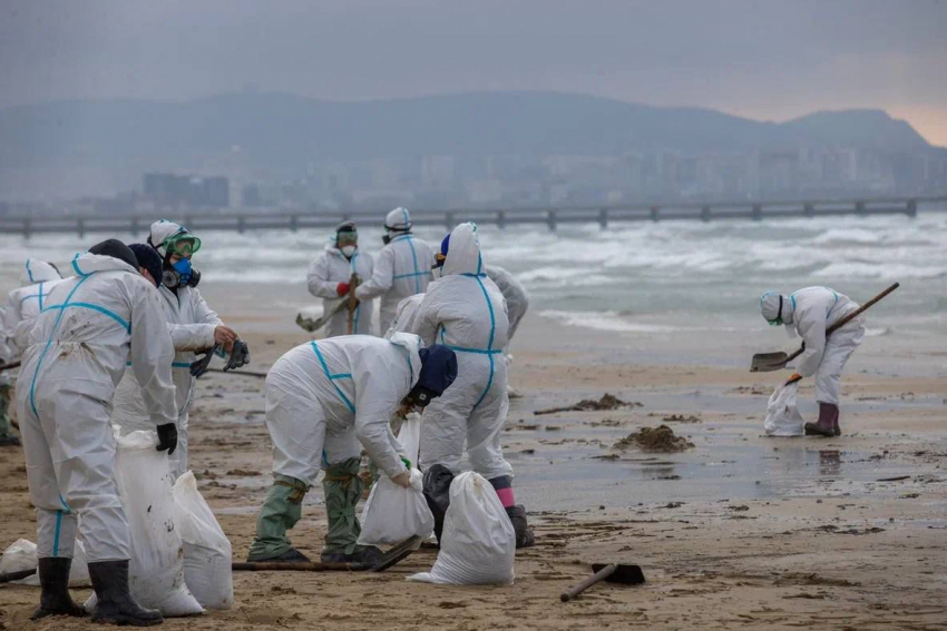 Повторение катастрофы: берег моря в Новороссийске покрылся мазутом после атаки ВСУ