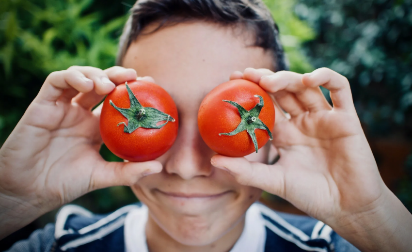 Любовь к огурцам и помидорам почти довела до тюрьмы жителя Новороссийска 